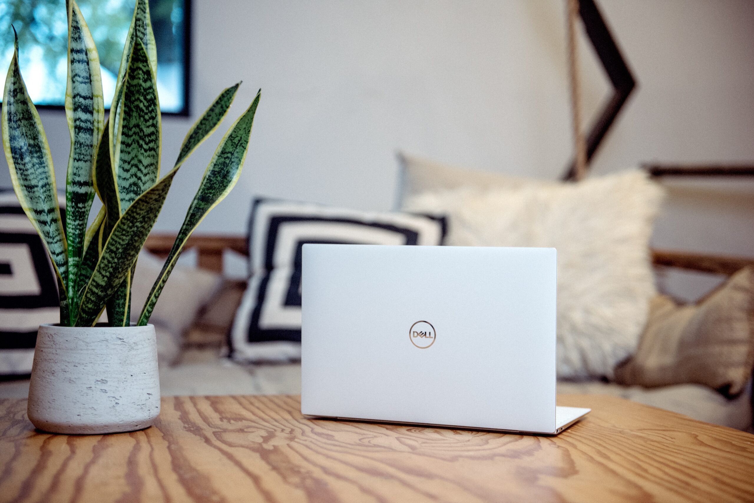 a laptop sits on a table. beside it is a snake plant, and behind it are several pillows. used in a blog post about honeybook setup for photographers.